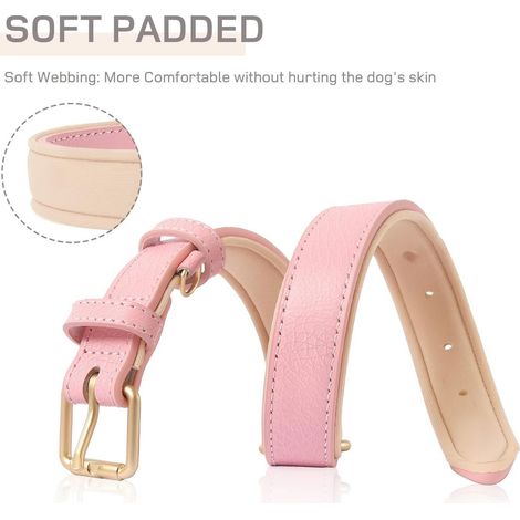 Collier pour chien en cuir véritable souple et durable avec rembourrage confortable et boucle en laiton réglable (1/4)