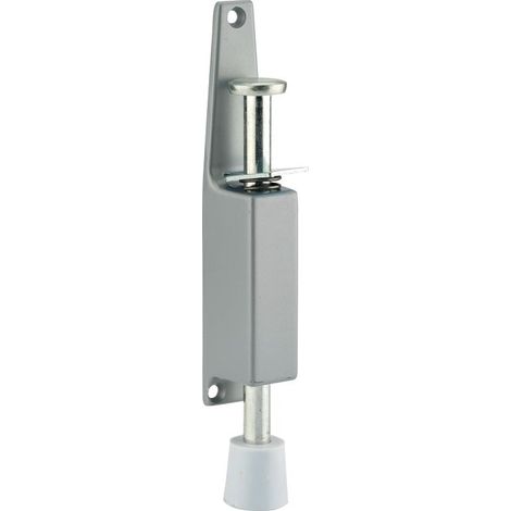 Arrêt de porte longueur 150mm couleur argent (1/5)