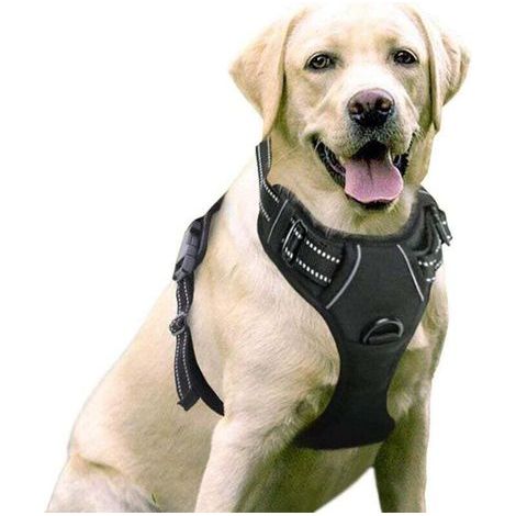 Anti-Zug-Hundegeschirr, leicht anzulegendes, reflektierendes und verstellbares Hundegeschirr mit Frontbefestigung, Easy Walk Geschirr für mittelgroße und große Hunde, Schwarz (1/4)
