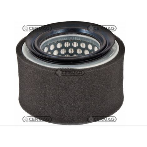 Filtro de aire motor máquina agrícola LOMBARDINI SERIE IM250 IM300 IM350 2175.239