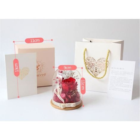 Rose Eternelle sous Cloche - Naturelle - Rouge - Cadeau pour Femmes - Saint-Valentin Fête des Mères (1/4)