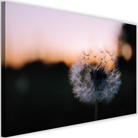 Tableau sur toile Pissenlits Coucher de soleil 60x40 (1/5)
