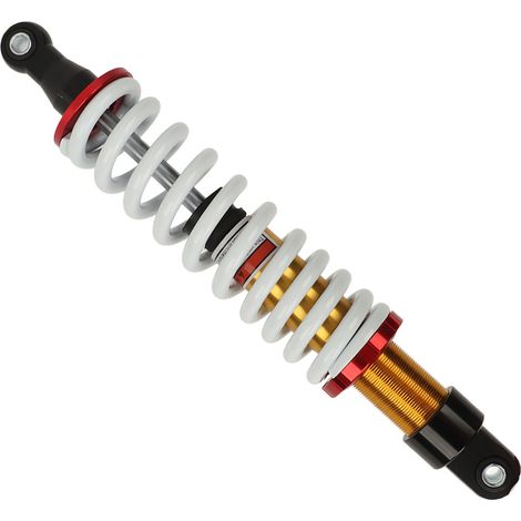 de moto avec entraxe de 380 mm et amortissement réglable (1/5)