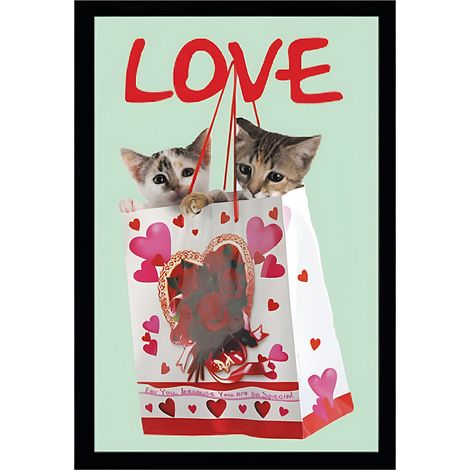 Miroir rectangulaire sérigraphié chatons