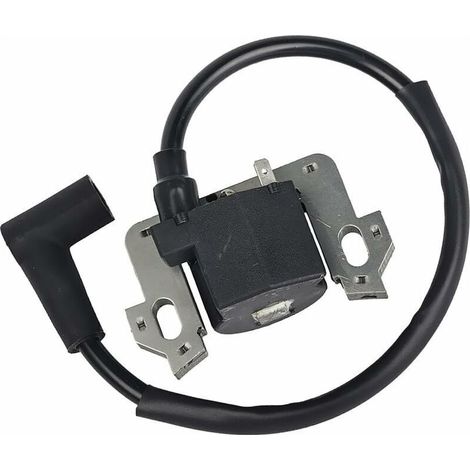 Module de bobine d\\'allumage pour tondeuse Honda GCV135 GCV160 GCV190 GSV160 – 1 pièce – Matériau plastique – Taille 16x8x4cm (1/5)