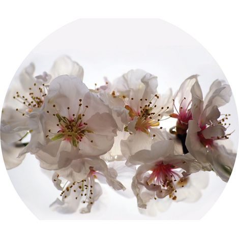 Papier peint intissé auto-adhésif rond  Thème Orchidéesflottantes - 140 x 140 cm (1/5)