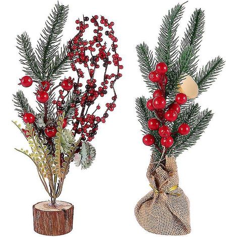 2 Stück Weihnachtskiefer (1/3)