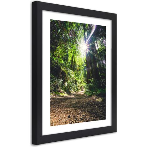 Quadro con cornice, Sentiero nel fitto della foresta - 20x30 (1/5)