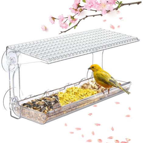 Mangeoire À Oiseaux Pour Fenêtre - En Acrylique Transparent - Avec 4 Ventouses Puissantes - Bac À Grain Séparé Et Évacuation D'Eau - Pour Observation Depuis L'Intérieur - 1 Pièce (1/5)