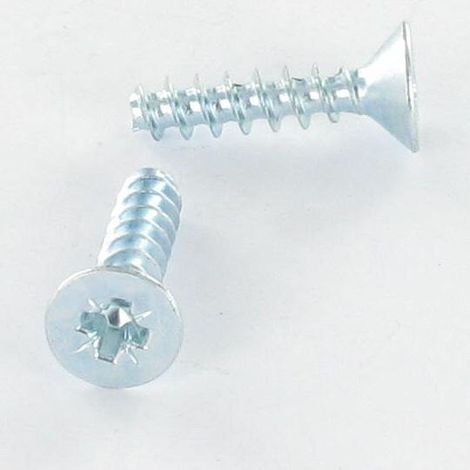 Vis pvc Tête fraisée Pozi N°2 4X10 Acier zingué-100 pièces