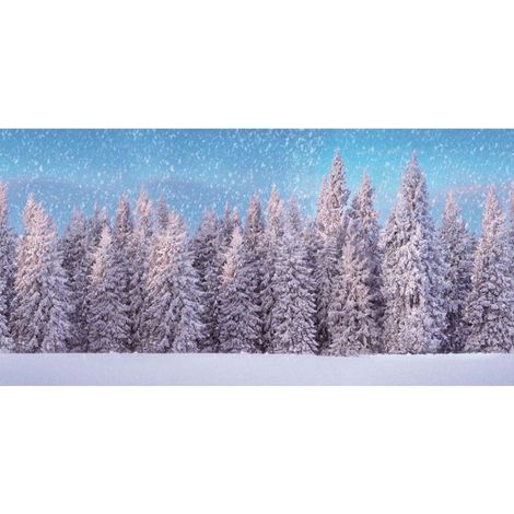 SFONDO POSTER XL FORESTA INNEVATA 300x150CM MYVILLAGE MYP23 PRESEPE (1/2)