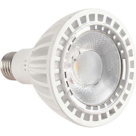Projecteur LED PAR30 30W blanc chaud pour spots encastrés - JBMEDIA (1/4)