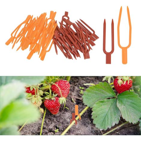 100-Pack Broches en Plastique pour Jardinage, Piquets pour Fleurs Vignes Pastèques Et Fixations De Plantes [2 Couleurs] (1/5)