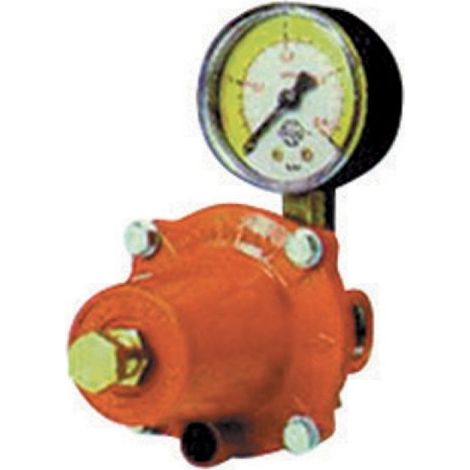 REGOLATORE GPL DI ALTA PRESSIONE CON MANOMETRO MOD. APZ250 kg. / h 30