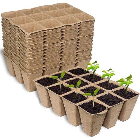Vassoio di germinazione da 10 pezzi, vassoio di germinazione da 12 celle per la coltivazione del grano (con 10 vassoi e coperchi) (1/4)