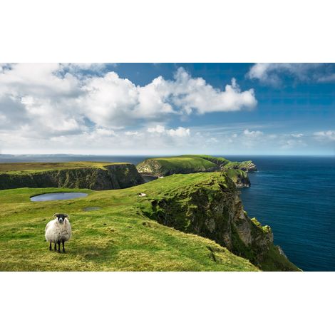 Papier peint panoramique naturel Irlande Verte (1/4)