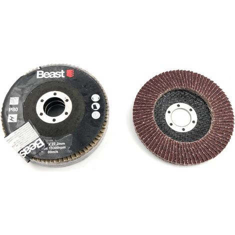 3 Disques Lamelles Plat D. 115 x Al. 22,23 mm Gr. 80 Corindon pour Bois - Métal - Bricolage et artisanat - Beast (1/6)