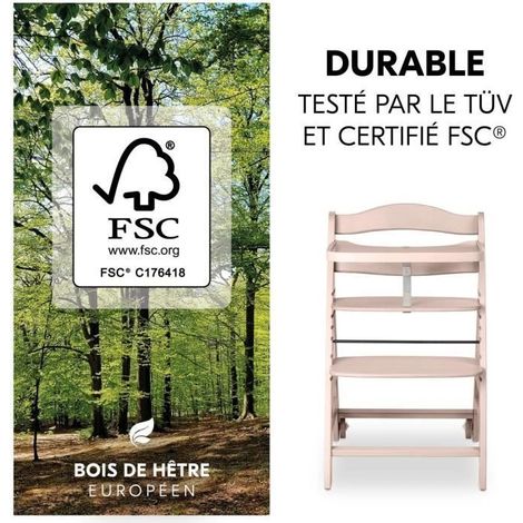 Chaise haute - HAUCK - BETA+ - Évolutive - De 6 mois à 90 kg - Bois certifié FSC - Harnais 5 points - Roulettes - Blanchie (1/5)
