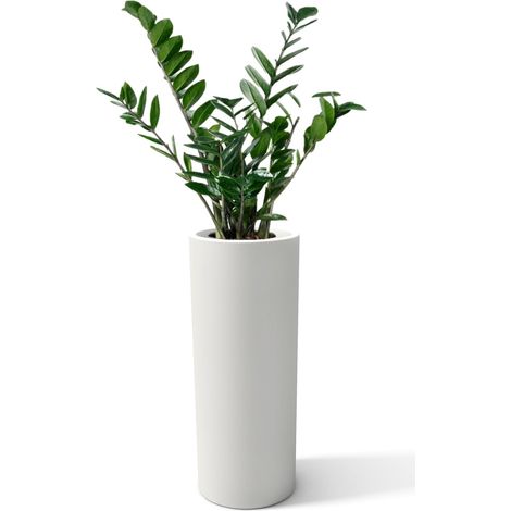 Vase Moderne cylindrique en résine Rond, Hauteur 90 cm, modèle Baroque, jardinière en polyéthylène 35 x 35 x 90 cm, Profondeur Compartiment 26 cm, fabriqué en Italie (1/5)