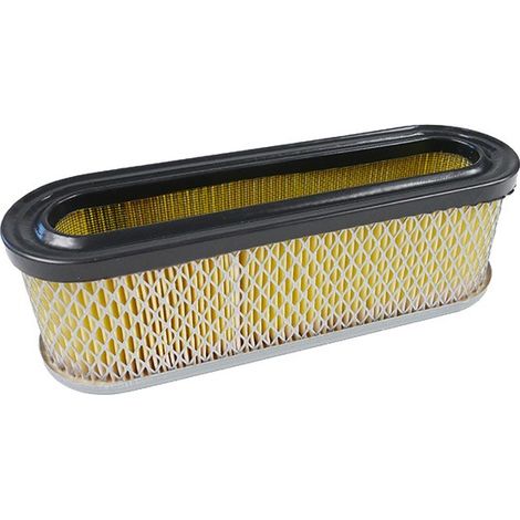 Filtre a air moteur Briggs & Stratton - 399806S (1/4)