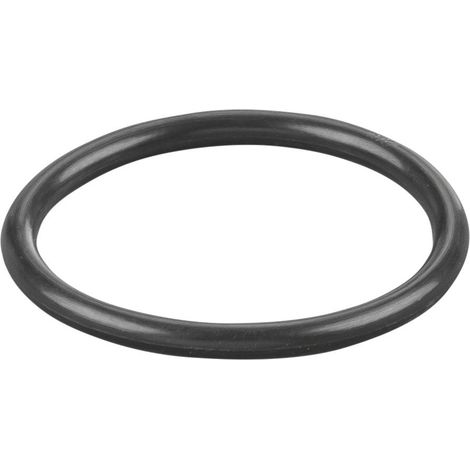 Rems O-Ring 060015