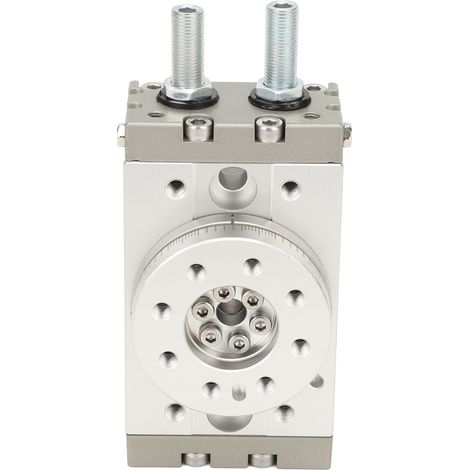 Vérin pneumatique rotatif réglable de 0 à 190°, en alliage d'aluminium haute résistance et étanche, 20 A (1/5)