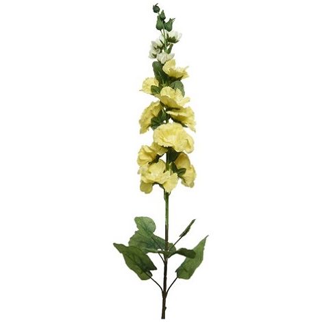 HOLLYHOCK IN STELO 109CM