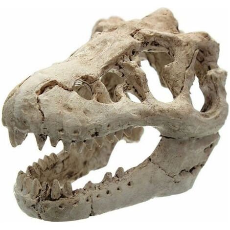 Ornement Aquarium Crâne De Dinosaure Décoration pour Réservoir De Poissons (1/5)