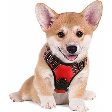 Harnais Chien S Arnais Rouge Anti Traction Réfléchissant Gilet Réglable pour Chien, Attache Devant Crochet de Laisse pour Randonnée Trajet Voiture, Bouledogue Français, Berger Australien-Ensoleillé (1/5)