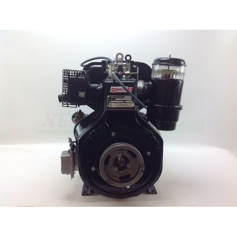 Motore completo diesel motocoltivatore ZANETTI S450B3-EX conico 30 avv. elettrico (1/4)