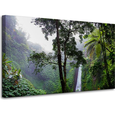 Leinwanddruck Natur Tropischer Wald 100x60 cm