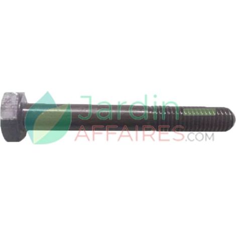 Vite Uni 5737 M 10 x 75 Delmorino 40100198