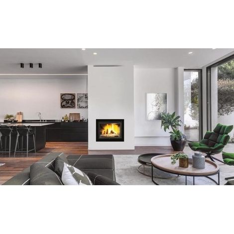 Insert cheminée à bois W17-16,1kW ECO (1/5)