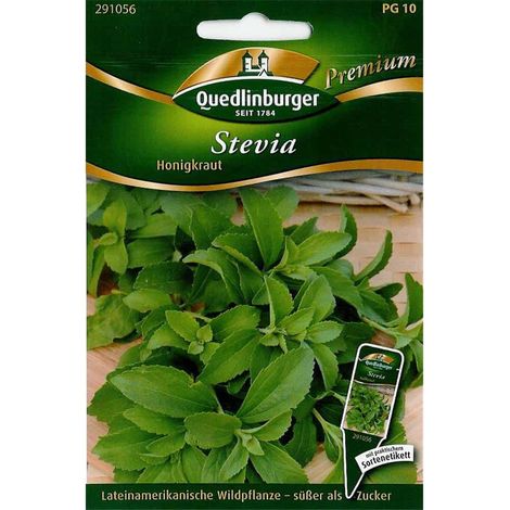 Quedlinburger Stevia Honigkraut - Kräutersamen (1/2)