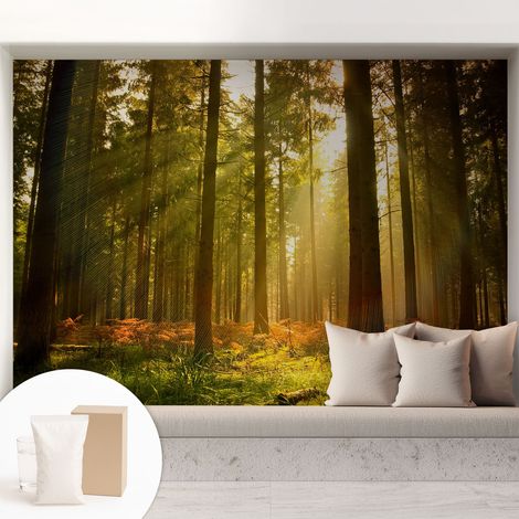 Papier peint intissé mural avec colle pour salon et chambre Décoration murale rapide - Colle incluse gratuite Matin dans la forêt 208x146 cm (1/5)