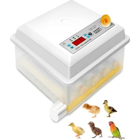 Incubadora para 16 huevos, Incubadora de Huevos para gallinas con vela LED, rotación automática de huevos, control y visualización de temperatura y humedad, incubadoras para pollitos, patos, codornice (1/5)