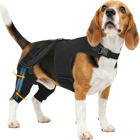 Attelle de genou pour chien Irovami - Taille M, 4 stabilisateurs réglables, soutien LCA et rotule, pour chiens de taille moyenne (Beagle, Cocker, etc.) (1/5)