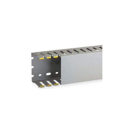 Goulotte de câblage au pas de 20 T1-N 80x60 grise IBOCCO B00833