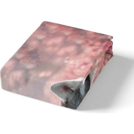 Housse de Couette 220x240 + 2 x Taie d'Oreiller 65x65cm- Microfibre Parure de Lit Adulte - Chien animal en plein air -57 (1/3)