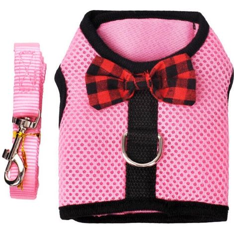 Harnais Chien Chat - Maille Respirante Polyester - Ajustable Poitrine et Ventre - Pour Chihuahua Miniature Yorkie Très Petit Lapin Cobaye - Taille XXXS (1/5)