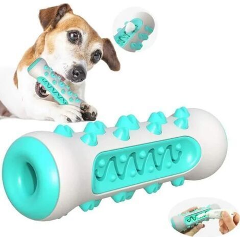 Juguete de dentición para perros - Cepillo de dientes - Azul - TPR, Nailon - Cuidado bucodental - Palito de dentición (1/4)