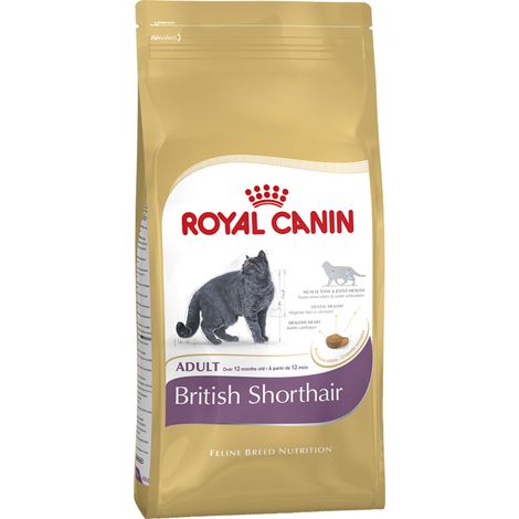 Royal Canin British Shorthair Chat adulte nourriture sèche 4 kg