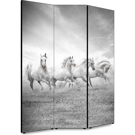 Lupia - Separe' per interni, Divisorio 135,6 x H 176 x P 3,1 cm FOUR HORSES paravento 3 Ante in legno con Tele stampate fronte retro Soggetto unico (1/4)