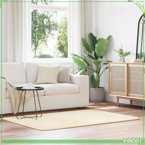 Tapis Shaggy - FAFEISY - NAVARRA - 120x170 cm - Crème - Polyester antidérapant (1/5)