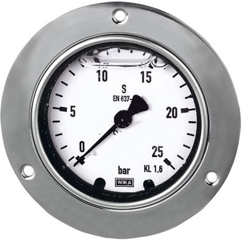 Riegler Glyzerinmanometer, Frontring, G 1/2 hinten exzentr., 0 - 6,0 bar, Ø 100 (1/2)
