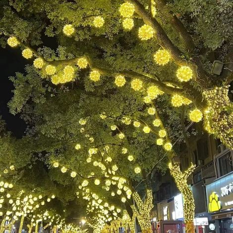 Guirlande lumineuse LED boule en rotin suspendue pour arbre, éclairage extérieur solaire et courant continu IP66. A25 (1/5)