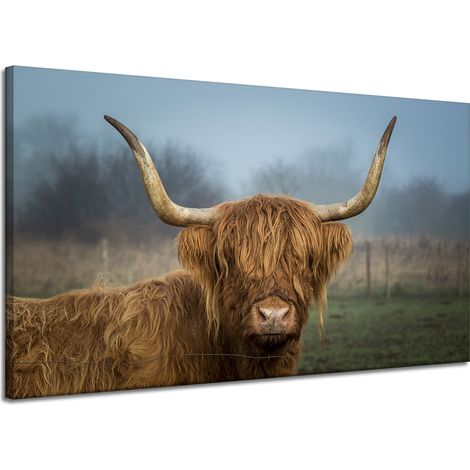 Leinwanddruck Tiere Schottische Kuh 120x70 cm