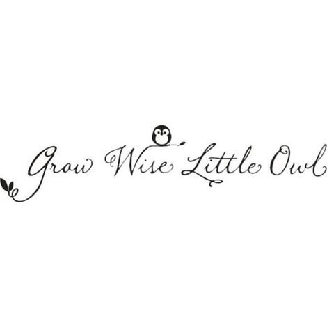 Eulen-Wandtattoo mit Weisheitsspruch, abnehmbare Vinyl-Wanddekoration, 100 x 24 cm, für Baby- oder Kinderzimmer
