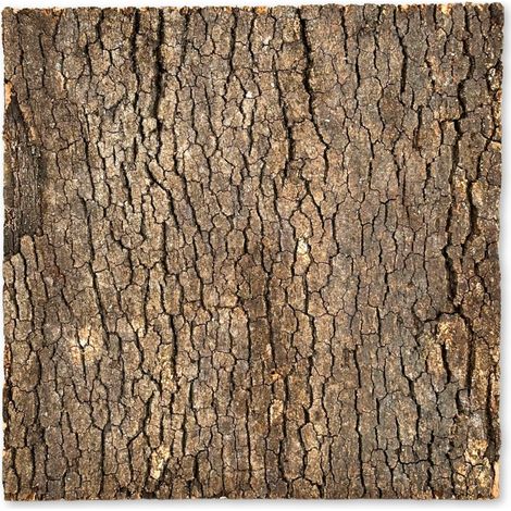 BioVirgin Cork Background Dark 30x30cm Korkrückwand für Terrarien (1/5)