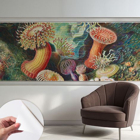 Carta da parati adesiva - lavabile - decorazione murale - per cucina - pellicola decorativa Anemoni fantastici 250x104 cm (1/5)